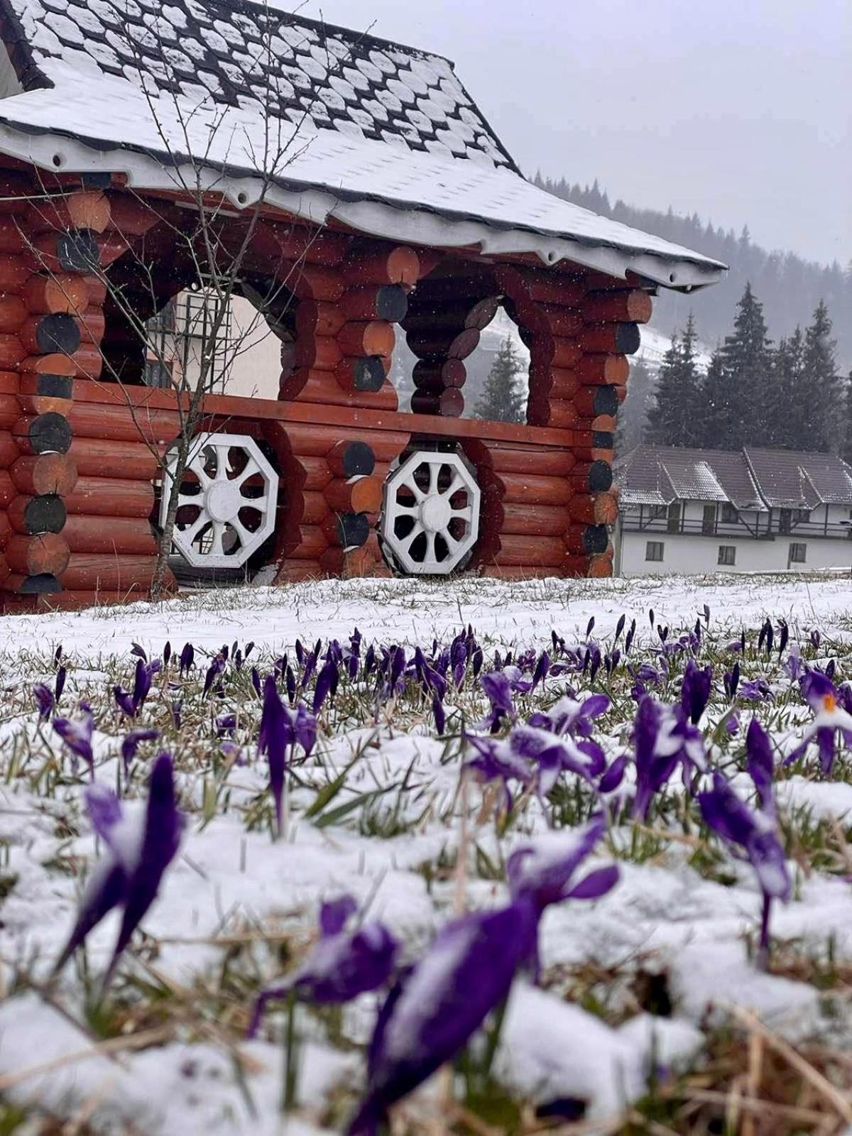 Sadyba U Halyny Sunrise Bukovel Exterior photo